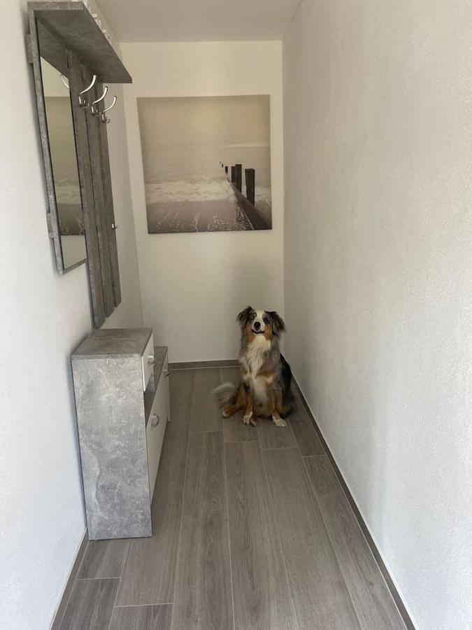 BinscheidPferdehof Simonアパートメント エクステリア 写真